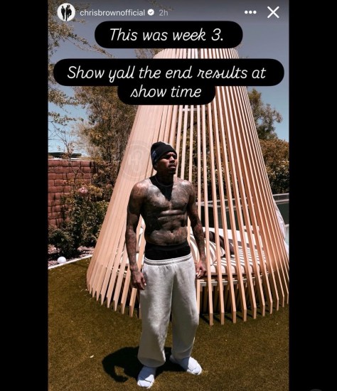Thirst Trap: #ChrisBrown is getting fit and fab for tour! [vid]